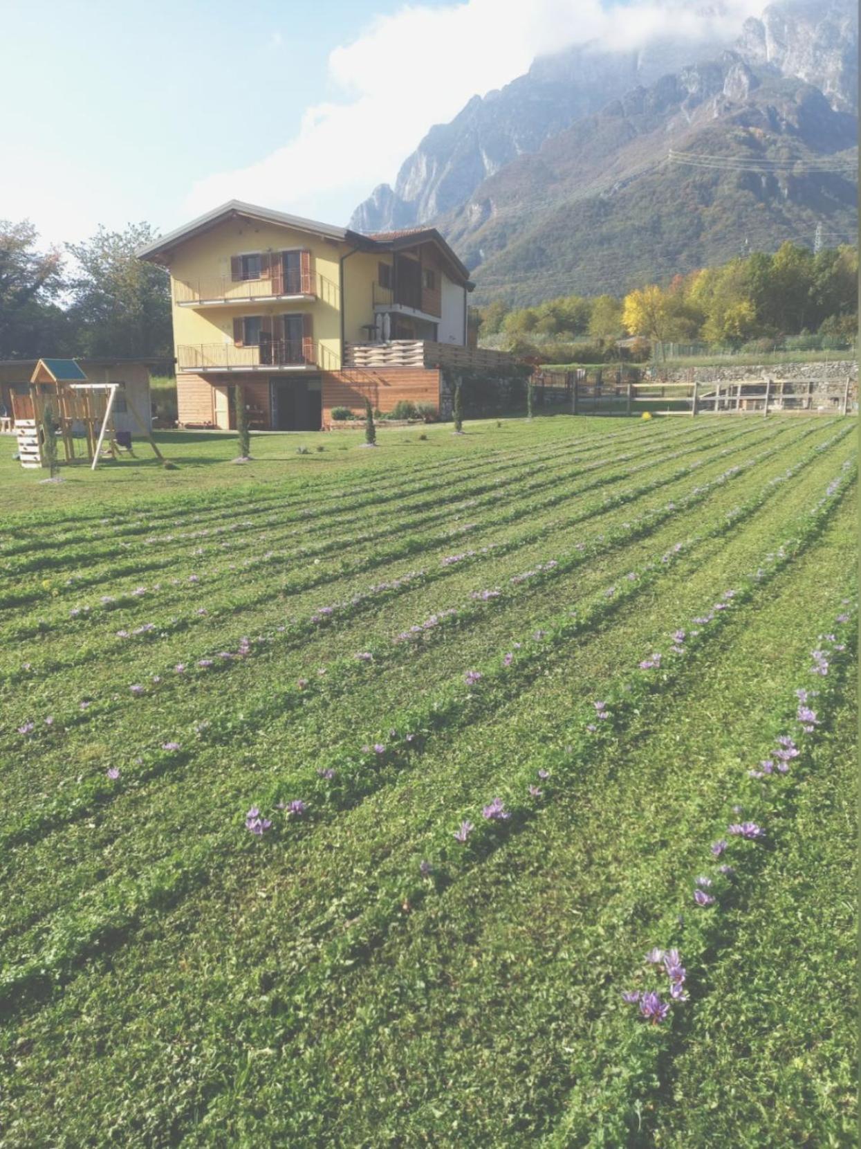Azienda Agricola Agriturismo I Sei Petali Capo di Ponte Exteriér fotografie